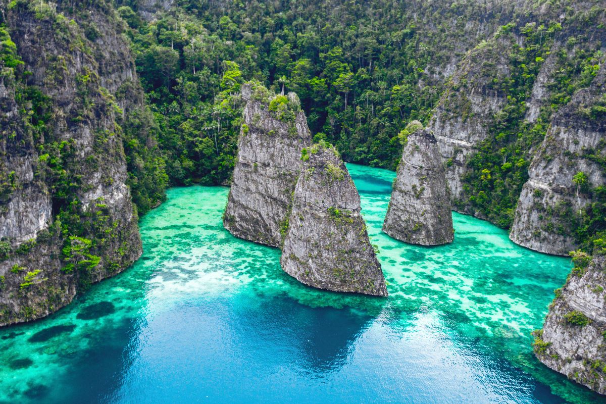 Wonders of Raja Ampat